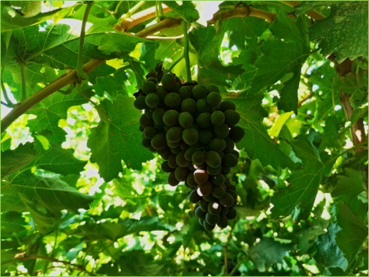 20240810175759891002 20240810175759891002